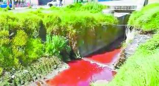 Río de sangre causa molestia a vecinos de Toluca, acusan al rastro. Noticias en tiempo real