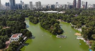 Nombran al Bosque de Chapultepec como el mejor parque del mundo de 2019. Noticias en tiempo real