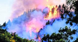 Incendio forestal en la isla Gran Canarias provoca catástrofe ambiental. Noticias en tiempo real