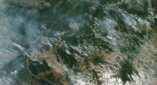 Imágenes desde el espacio de los destructores incendios forestales en el Amazonas. Noticias en tiempo real