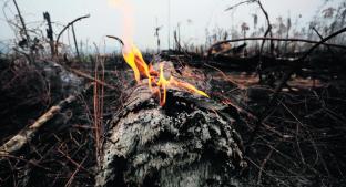 Despliegan aviones para combatir nuevas llamas en el Amazonas . Noticias en tiempo real