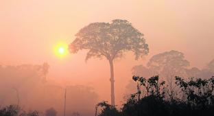 Bolsonaro prohíbe quemas para frenar los incendios en el Amazonas. Noticias en tiempo real