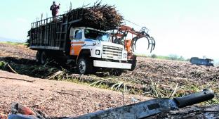 Campesinos de Temoac informan pérdidas de cultivos tras falta de lluvias. Noticias en tiempo real