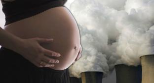 Revelan que contaminación llega a la placenta; puede provocar nacimientos prematuros. Noticias en tiempo real