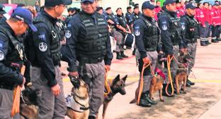 Dan medallas de honor al grupo canino K9 por labores de rescate durante el 19-S. Noticias en tiempo real