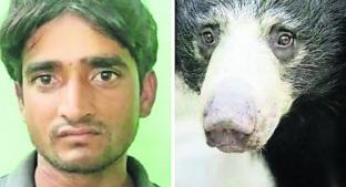 Detienen a cazador que comía genitales de oso para curar impotencia en la India . Noticias en tiempo real
