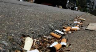 Jóvenes recolectan 10 mil colillas de cigarros en Centro Histórico de Querétaro. Noticias en tiempo real