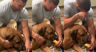 Exjugador de NFL llora mientras alimenta por última vez a su perrito y video se hace viral. Noticias en tiempo real