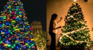 ¿Cuál es la historia del árbol de Navidad? todo lo que tienes que saber. Noticias en tiempo real