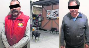 Caen 'animales' que armaban peleas clandestinas de perros, en Ecatepec . Noticias en tiempo real