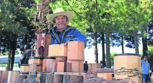 Artesanos mexiquenses piden que les donen los árboles caídos por ventarrones. Noticias en tiempo real