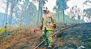 En 2020 aumentarán los incendios forestales a falta de lluvia, en Morelos. Noticias en tiempo real