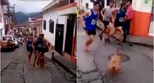 VIDEO: Corredor patea a perrito y causa repudio en redes sociales; pierde patrocinio. Noticias en tiempo real