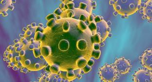 ¿Cuáles son los síntomas del coronavirus? El peligroso virus de China . Noticias en tiempo real