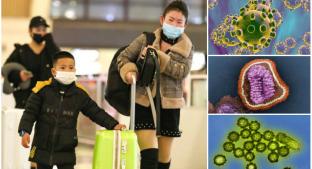 El coronavirus de Wuhan y otros de los virus más letales del mundo . Noticias en tiempo real