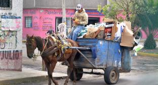 Pese a prohibición, “Burreros” de Coacalco se rehúsan a dejar de utilizar animales . Noticias en tiempo real