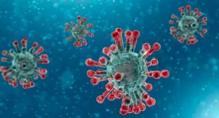 Coronavirus: Síntomas, causas, prevención y todo lo que tienes que saber . Noticias en tiempo real
