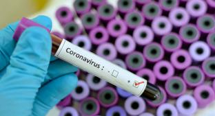 El coronavirus se encuentra fase decisiva, según la Organización Mundial de la Salud . Noticias en tiempo real
