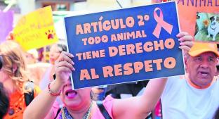 Marchan a favor de los derechos de los animales en calles de Cuernavaca, Morelos. Noticias en tiempo real