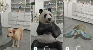 Conoce los pasos para encontrar animales 3D en el navegador de Google . Noticias en tiempo real