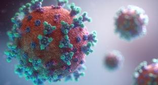 Te presentamos todos los términos necesarios para entender la pandemia del coronavirus. Noticias en tiempo real