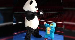 Kemonito recibe al panda de la WWF en el ring para luchar contra el cambio climático . Noticias en tiempo real