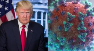 Donald Trump asegura que tiene “evidencias” sobre el origen de coronavirus. Noticias en tiempo real