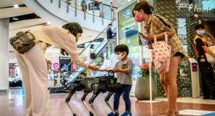 Perro robot ofrece gel antibacterial contra el Covid-19 en centro comercial de Tailandia. Noticias en tiempo real