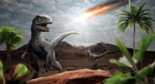 ¿Qué les pasó a los temibles y asombrosos dinosaurios antes de morir? Tienes que saber. Noticias en tiempo real