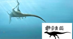Descubren nueva especie de dinosaurio de hace 115 millones de años, familiar del T. Rex. Noticias en tiempo real