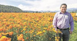 Floricultores cultivaron hortalizas y dejan en paz al cempasúchil por Covid-19, en Edomex. Noticias en tiempo real