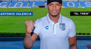 Gallos Blancos de Querétaro hace oficial la contratación de Antonio Valencia. Noticias en tiempo real