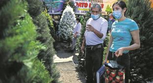 Vendedores de árboles esperan que la Navidad los salve, estos son sus precios en CDMX. Noticias en tiempo real
