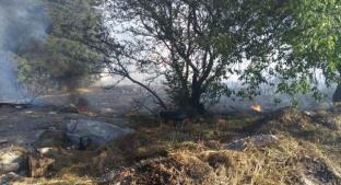 Bomberos del Edomex atendieron 290 incendios, la mayoría por quema de pastizales. Noticias en tiempo real