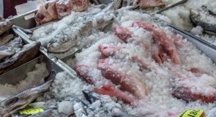 Por pandemia, baja la venta de pescados y mariscos para la cuaresma en Morelos . Noticias en tiempo real