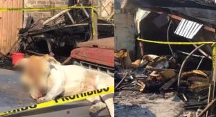 Mueren tres personas durante incendio en vivienda de Chalco, además se queman perros. Noticias en tiempo real