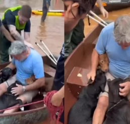 VIDEO: Conmueve un hombre en Brasil que rescató de las inundaciones a sus cuatro perros
