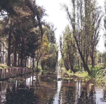 Aprende a pasear y vacacionar en la otra cara de Xochimilco
