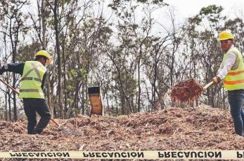 Logran rescate ecológico del Bosque de Chapultepec en la CDMX gracias a la basura