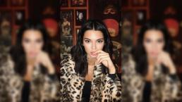 Kendall Jenner cautiva con 'picosita' imagen en transparencias
