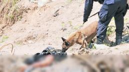 Hallan cadáver mutilado en Ecatepec, perro se saboreaba pierna