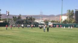 Derrumbe en estadio de béisbol mexicano deja lesionados