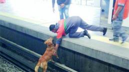 Indigna muerte de perro en Metro en CDMX
