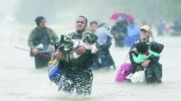 Miles quedan atrapados en inundaciones por tormenta tropical 'Harvey'