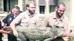 Familia halla cocodrilo en su comedor tras el paso de Harvey
