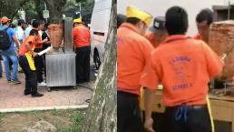 Reparten tacos al pastor para brigadistas