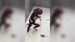 Mujer pelea a muerte contra enorme rata