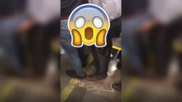 Cachan a pareja de hombres toqueteándose en el Metro de la CDMX 