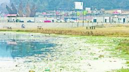 Mugre ahuyenta a paseantes de Laguna de Salazar, en La Marquesa