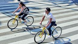 Bicicletas compartidas quedarán listas en febrero, en Querétaro